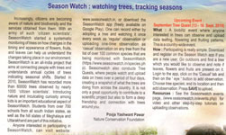 watching trees,tracking seasons