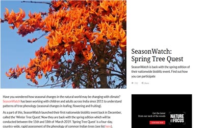 Seasonwatch- Spring Tree Quest