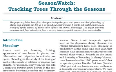 Tracking trees through the seasons