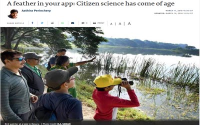 A feather in your app: Citizen science has come of age