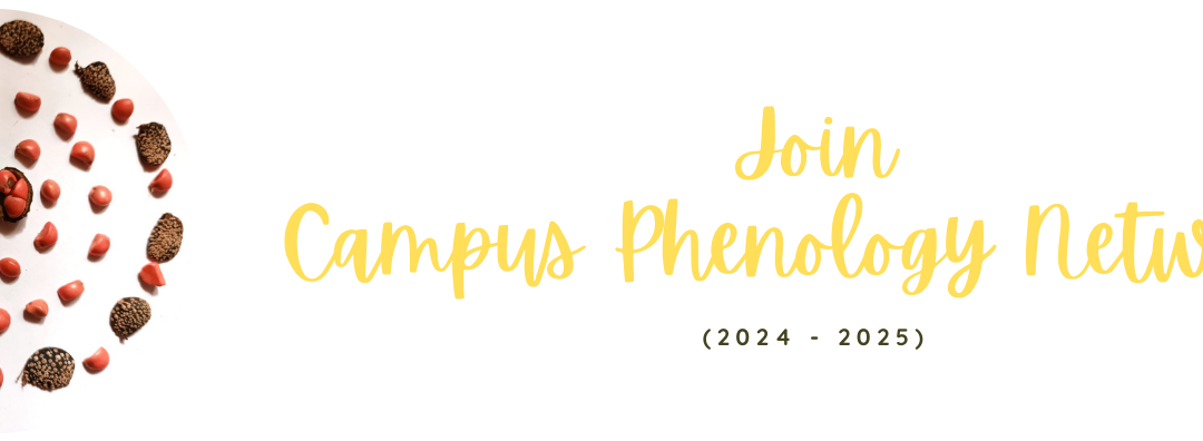 Campus Phenology Network (2024-2025)