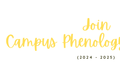 Campus Phenology Network (2024-2025)