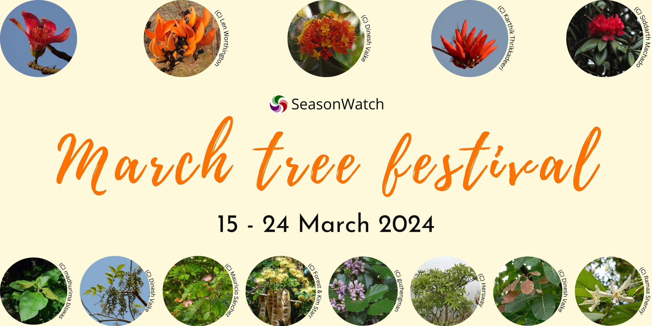 March Tree Festival 2024 : SeasonWatch