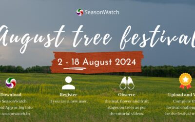 Monsoon Magic on Trees: ‘August Tree Festival 2024’ Report